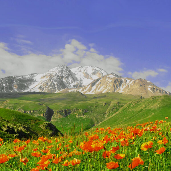 صعود به سبلان